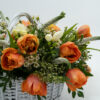 Tulipes du Soleil