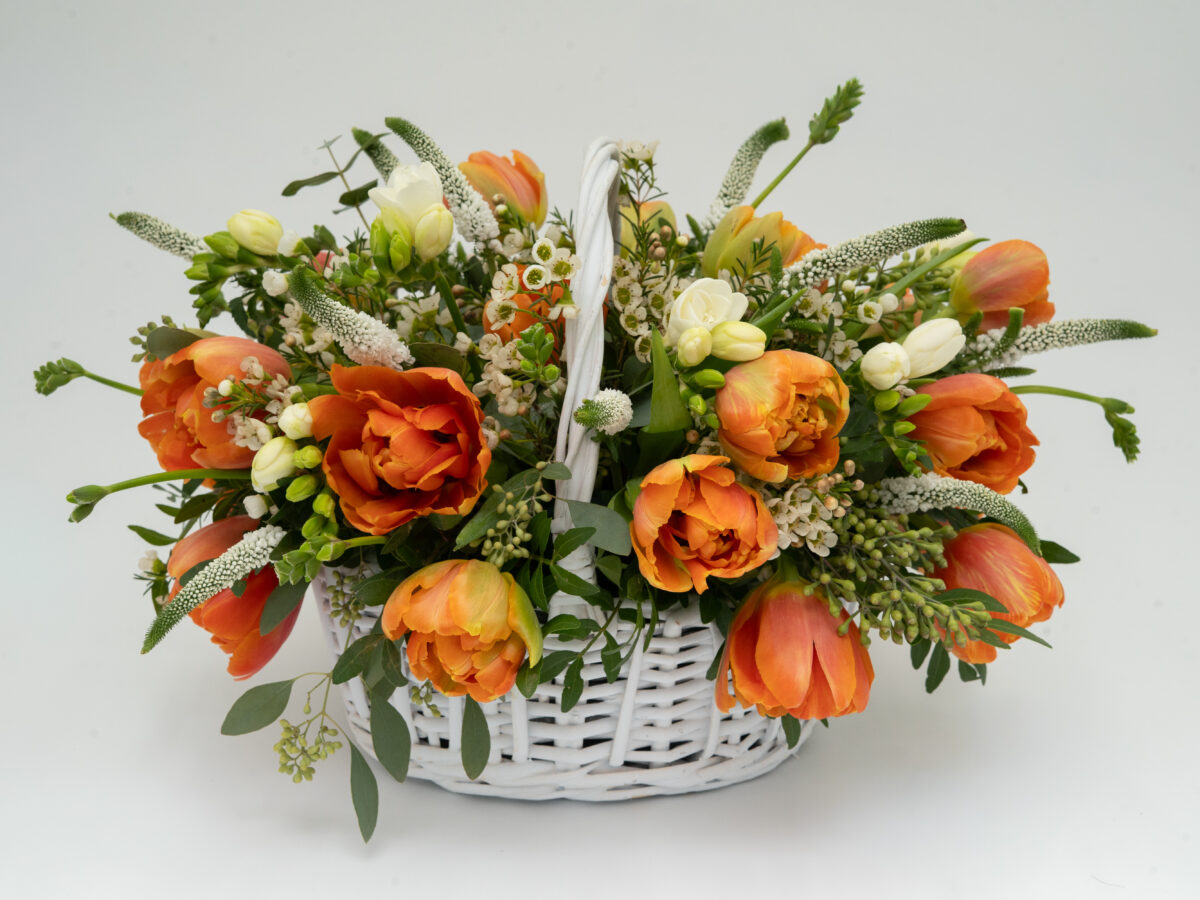 Aranjament cos Tulipes du Soleil