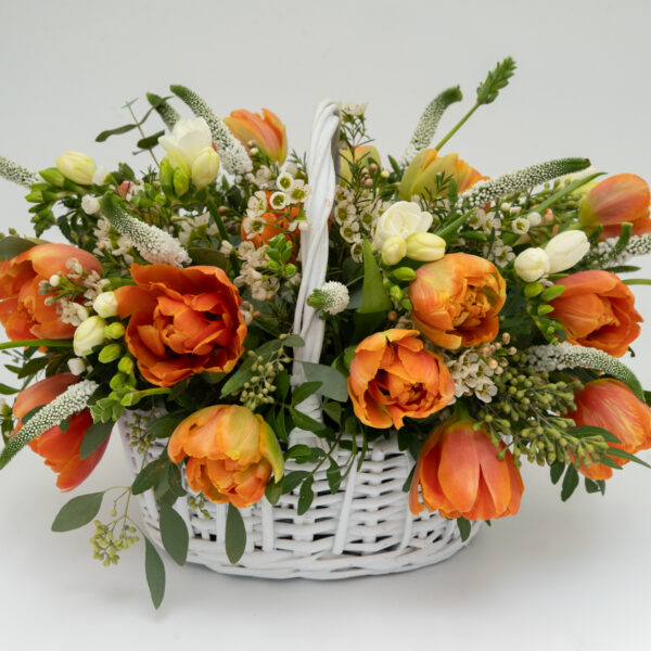 Aranjament cos Tulipes du Soleil
