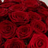 Rouge Élégance – 51 Roses