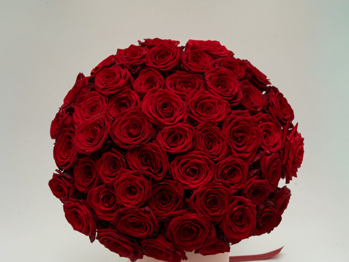 Rouge Élégance – 51 Roses
